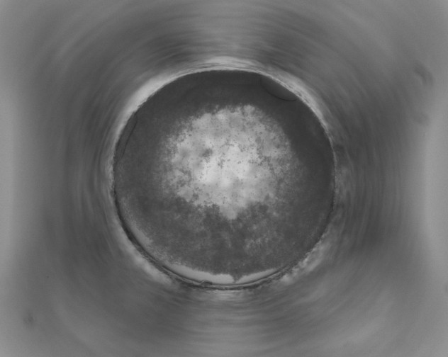 X0000110861381200907301343
