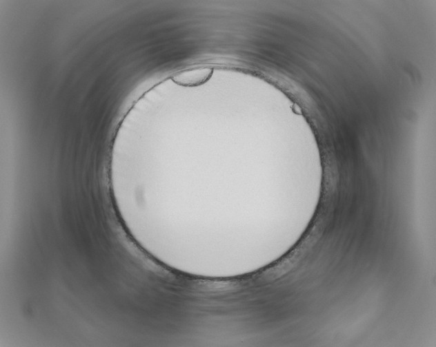 X0000110861382200907301343