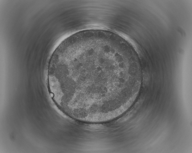 X0000110861383200907301343
