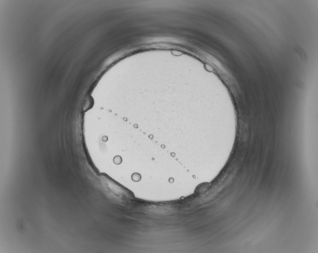 X0000110861384200907301343