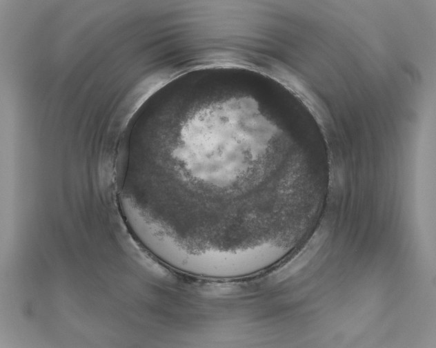 X0000110861385200907301343