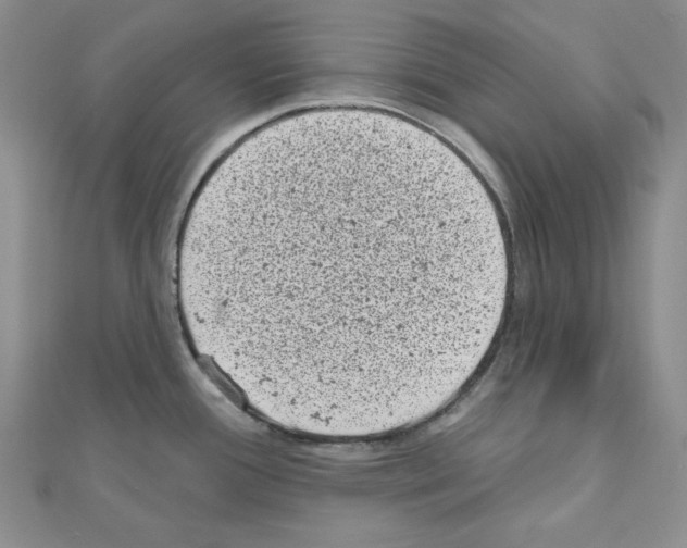 X0000110861388200907301343