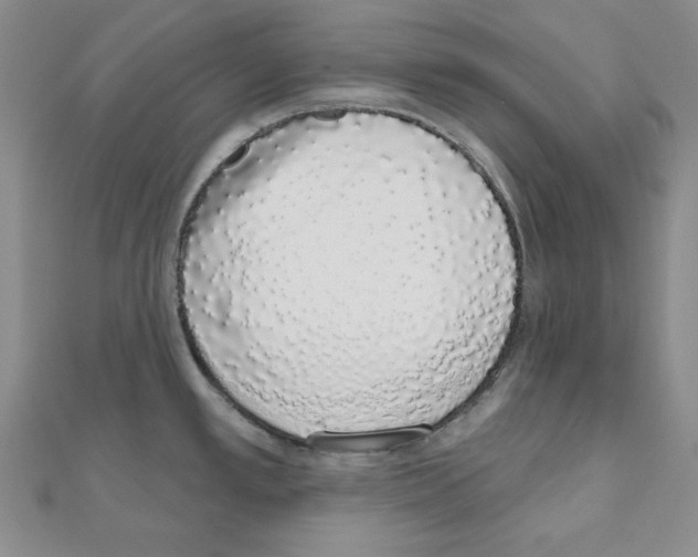 X0000110861389200907301343