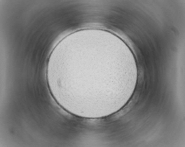 X0000110861390200907301343