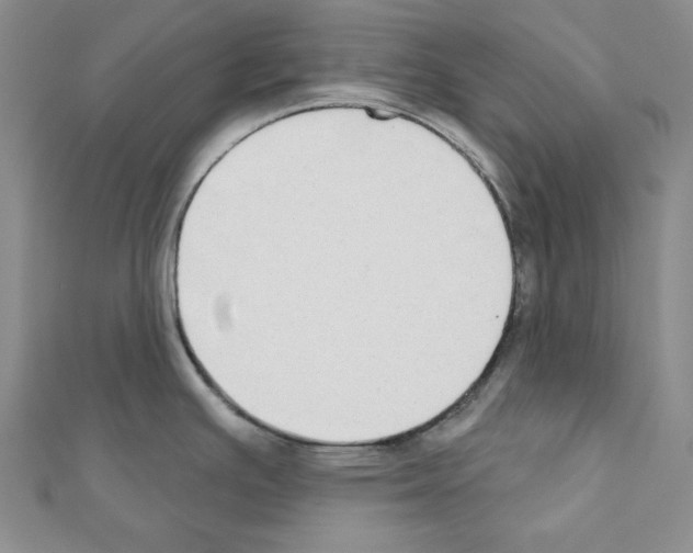 X0000110861391200907301343