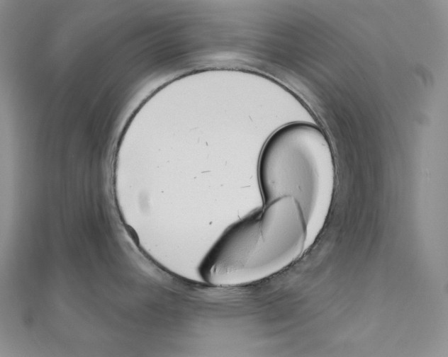 X0000110861392200907301343