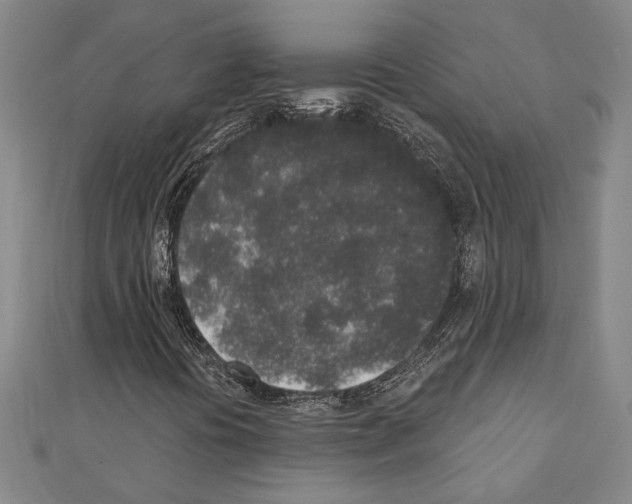 X0000110861394200907301342