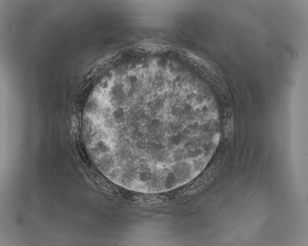 X0000110861397200907301342