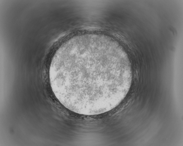 X0000110861398200907301342
