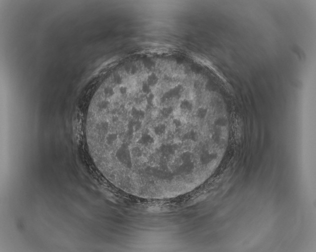X0000110861399200907301342
