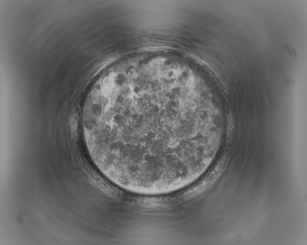 X0000110861401200907301342