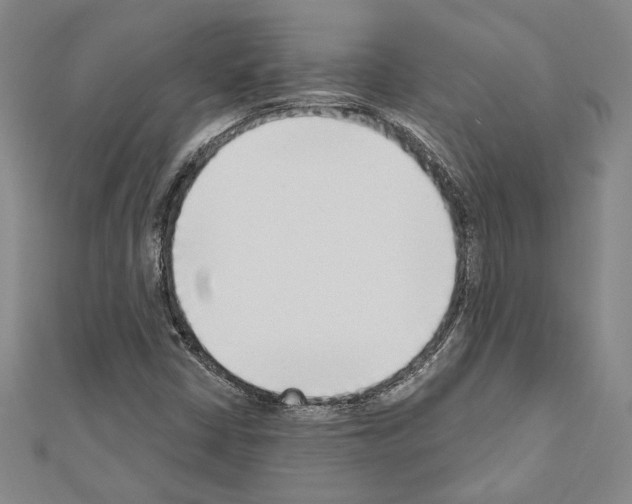 X0000110861402200907301342
