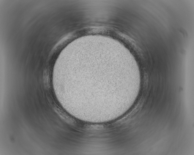 X0000110861403200907301342