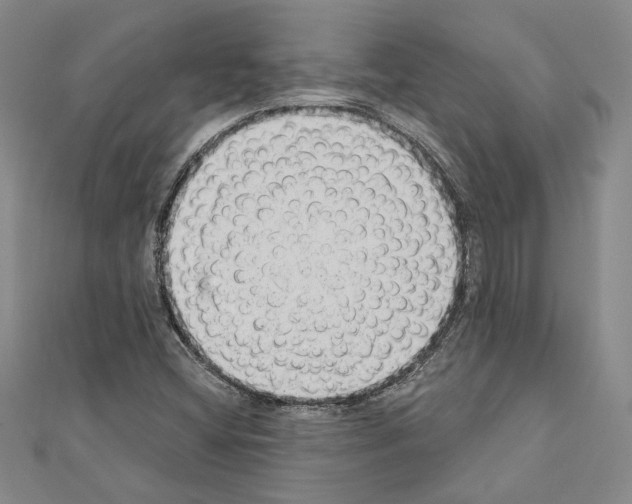 X0000110861404200907301342