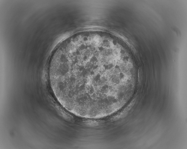 X0000110861405200907301342