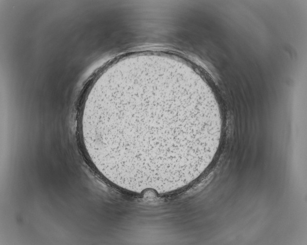 X0000110861406200907301342