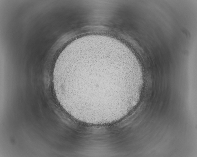 X0000110861407200907301342