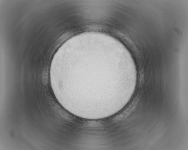 X0000110861409200907301342