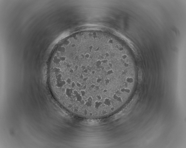 X0000110861411200907301342