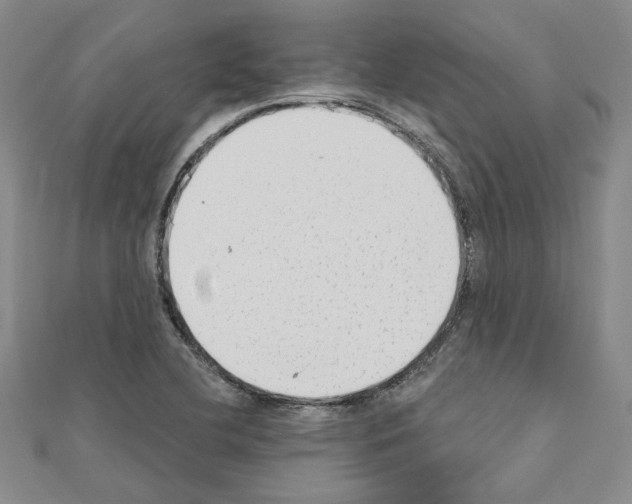 X0000110861412200907301342