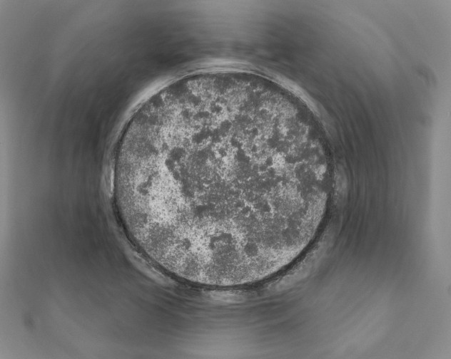 X0000110861413200907301342