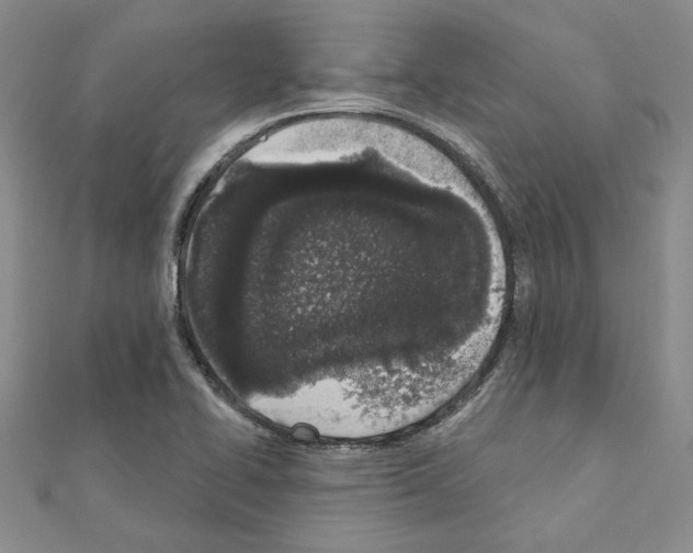 X0000110861414200907301342