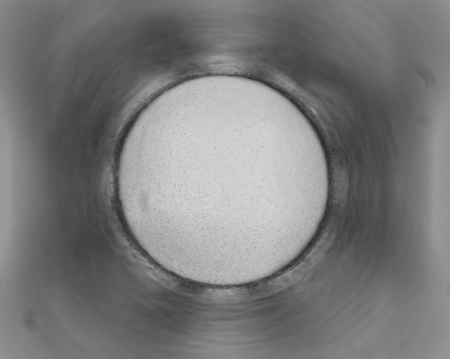 X0000110861415200907301342