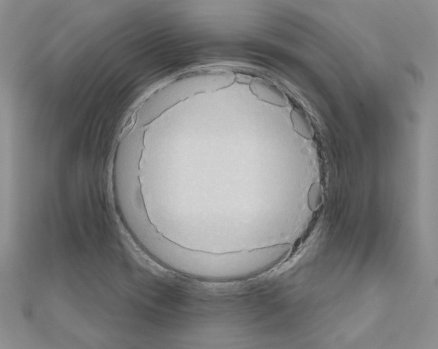 X0000110861417200907301342