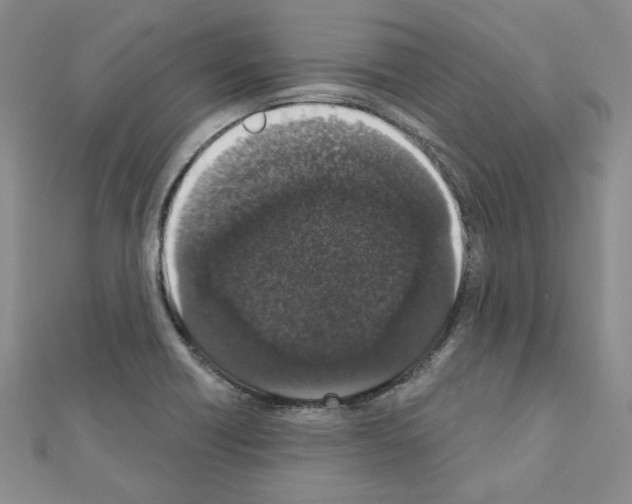 X0000110861418200907301342