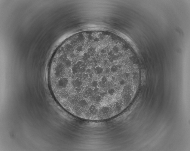 X0000110861419200907301342