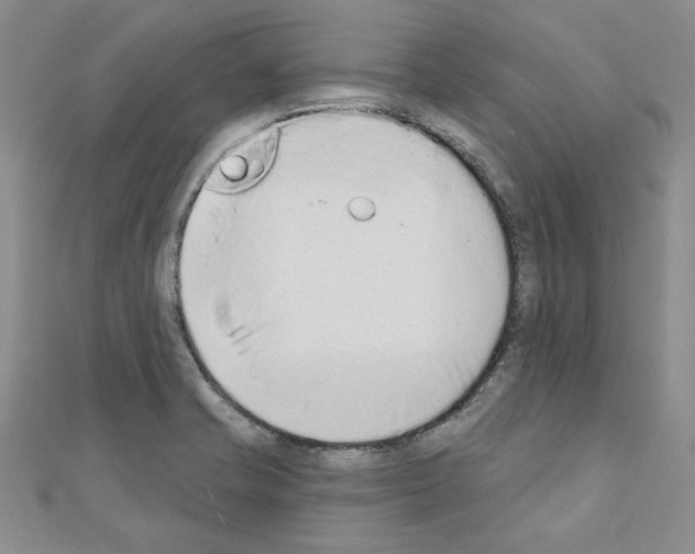 X0000110861421200907301342