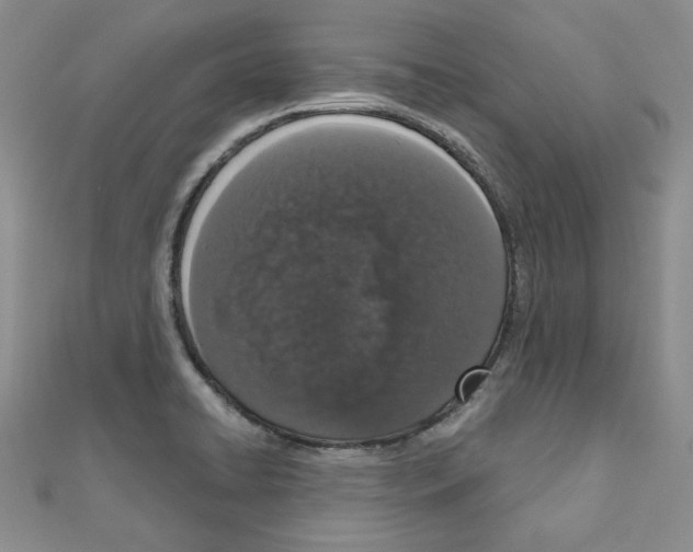 X0000110861422200907301342