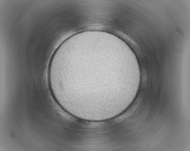X0000110861423200907301342