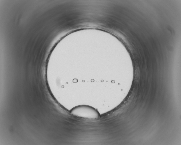 X0000110861424200907301343