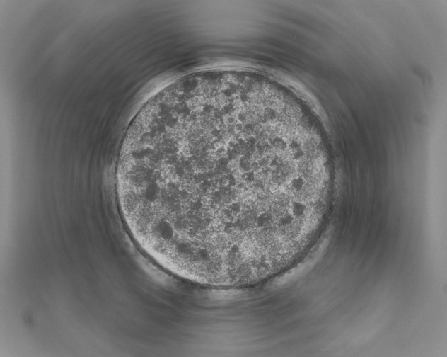 X0000110861425200907301343