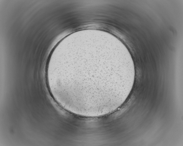 X0000110861426200907301343