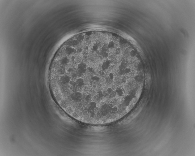 X0000110861427200907301343