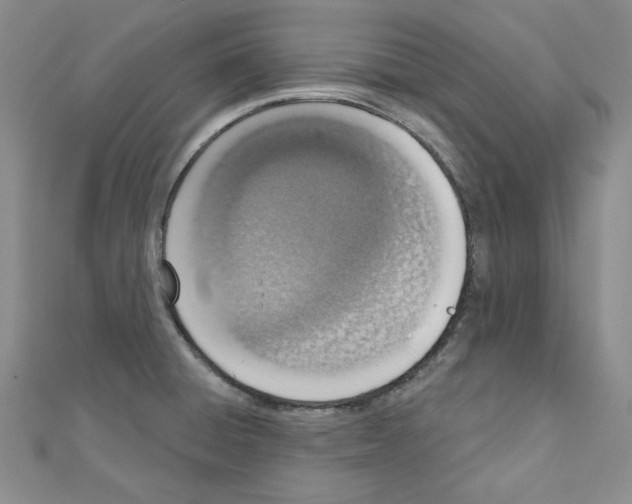 X0000110861428200907301343