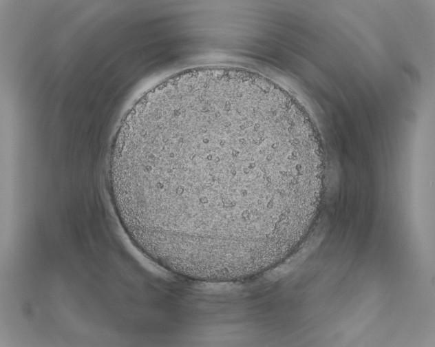 X0000110861429200907301343