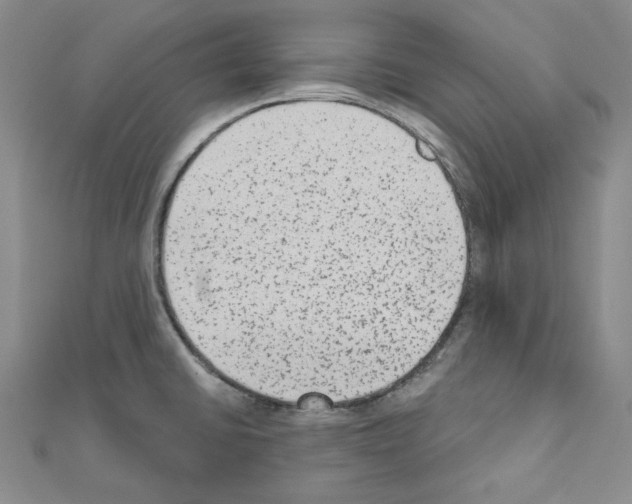 X0000110861430200907301343