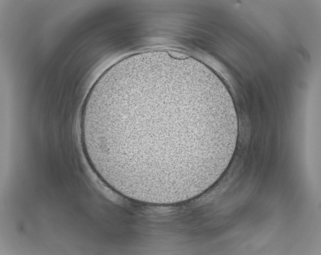 X0000110861431200907301343