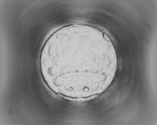 X0000110861432200907301343