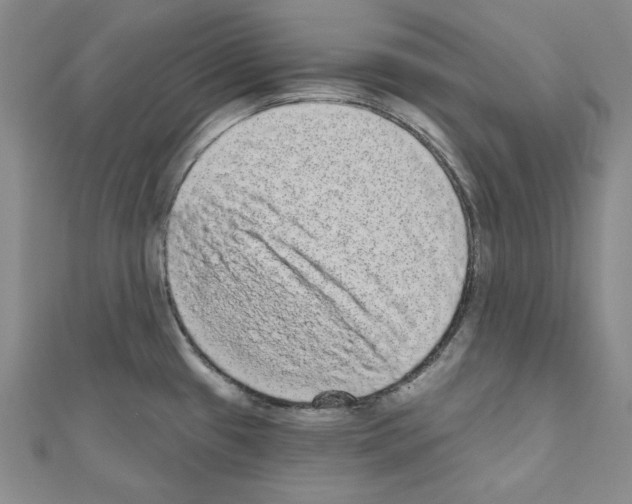 X0000110861433200907301343