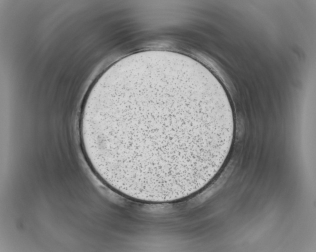 X0000110861434200907301343