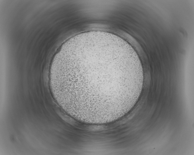 X0000110861435200907301343