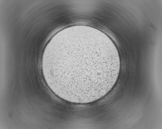 X0000110861436200907301343