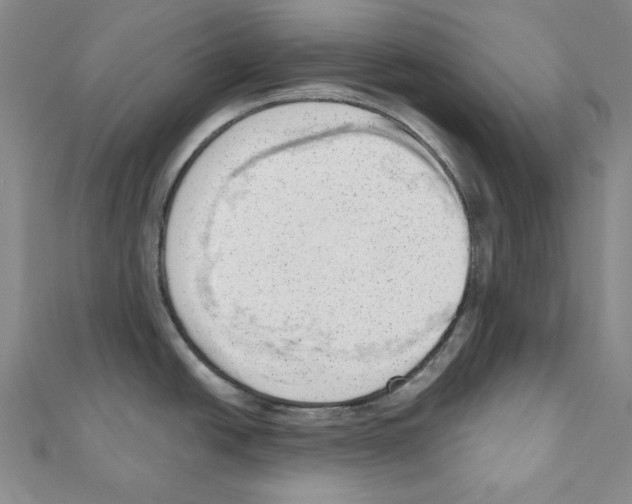 X0000110861438200907301343
