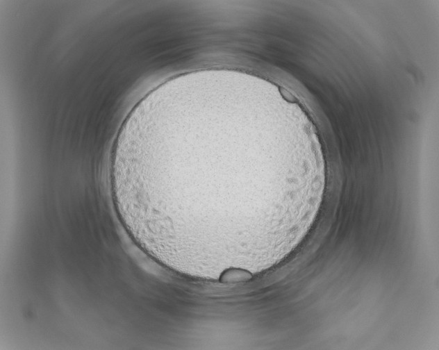 X0000110861439200907301343