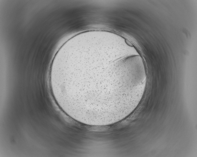 X0000110861440200907301343