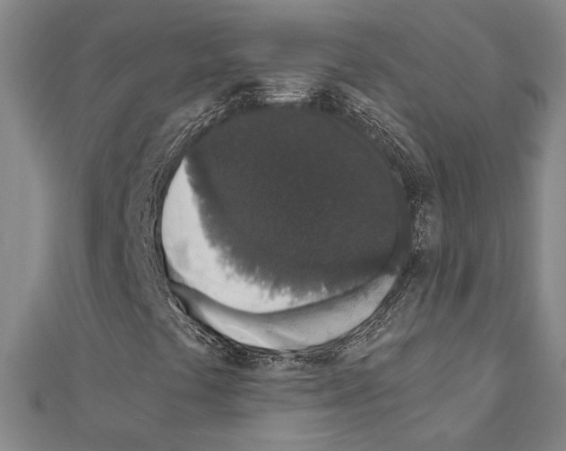 X0000110861441200907301342